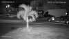 20200829061407.jpg