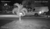 20200829053235.jpg