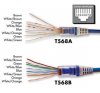 cat 6 wire.jpg