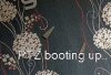 ptz booting.JPG