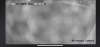 7D33514A-5EDE-4E89-B944-1172C9B9024E.png