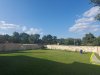 Backyard.jpg
