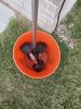 20201015_140036.jpg