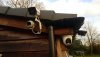 IMG-20201212-WA0019.jpeg
