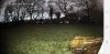 Screenshot_20201212-171403_XMEye.jpg