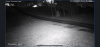 4C94F3C4-9A09-43C8-B3D3-BC6E275A7B12.png