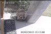 Cam1.jpg