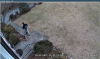 Screenshot 2021-01-21 201728.png