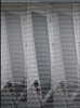 interlaced_recording.JPG