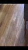 IMG_2674.PNG