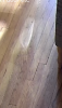 IMG_2675.PNG
