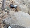 outlet.jpg