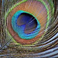 pradosh7