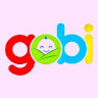 gobi