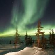 Night_Owl