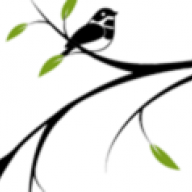 iBirdview