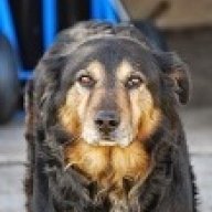 T3BEAR