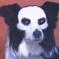 revo