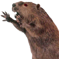 clarkstin