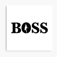 bruce the boss