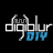 digiblur