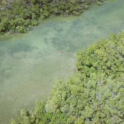 Key Largo from my drone